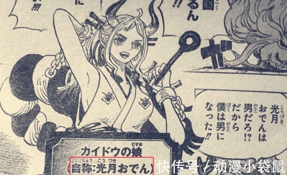 大和|海贼王984话:大和是女的,长得像薇薇和蕾贝卡,自称是光月御田