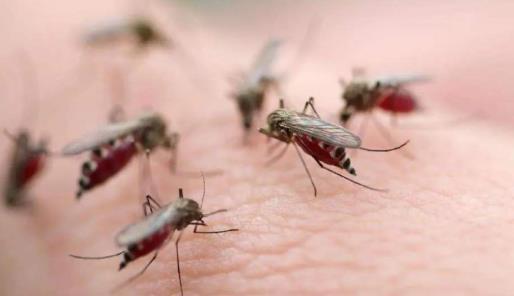 浴室|把白糖和洗衣粉混在一起,没想到这么神奇,一年能省不少钱