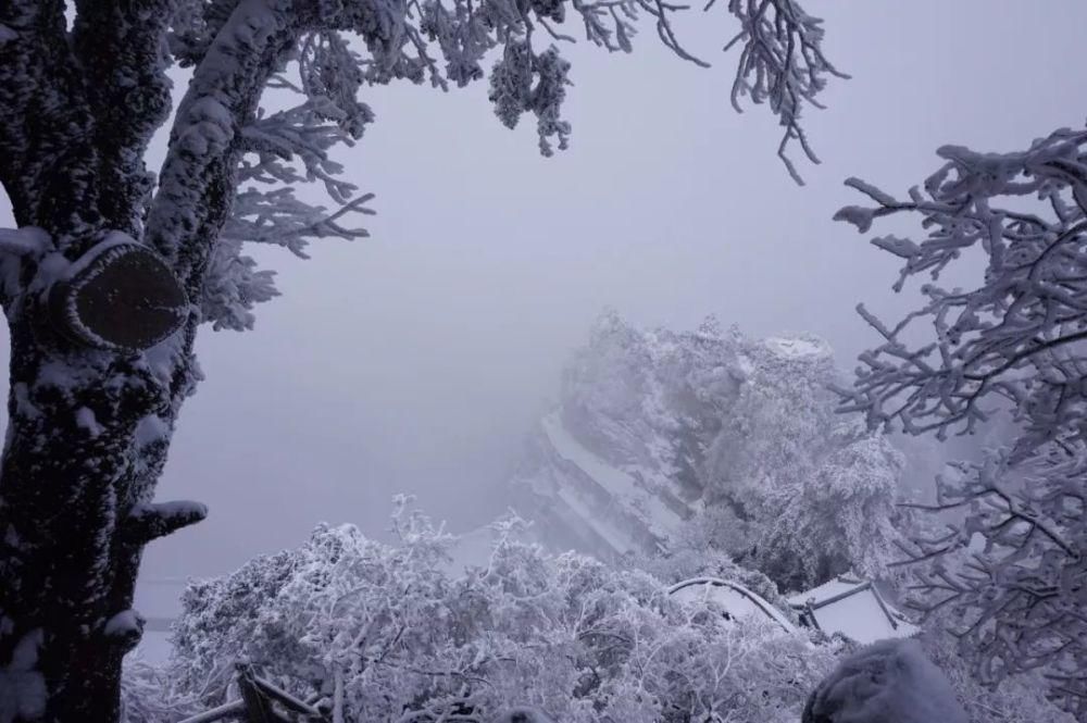 风雪|风雪武当山,仙境藏玄机!大雪封山时,道人、隐士都在干什么!