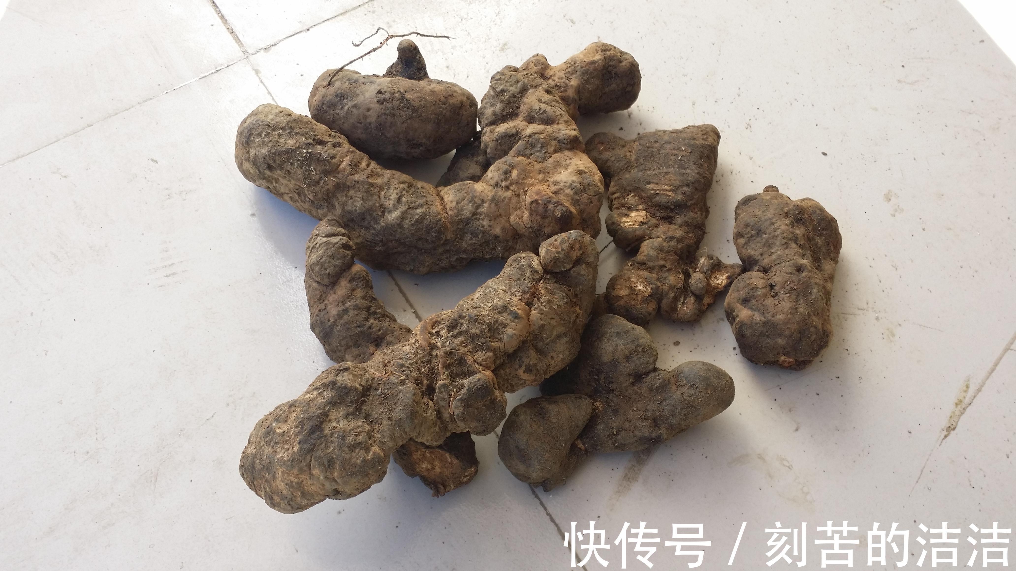 慢性肾炎|急慢性肾炎、下半身水肿、湿气过重,张仲景的这个药方或可缓解