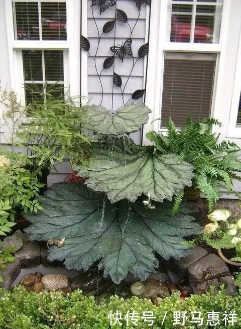 花友|花盆不用买,变废为宝做一个,比买的还好看,分分钟惊艳朋友圈