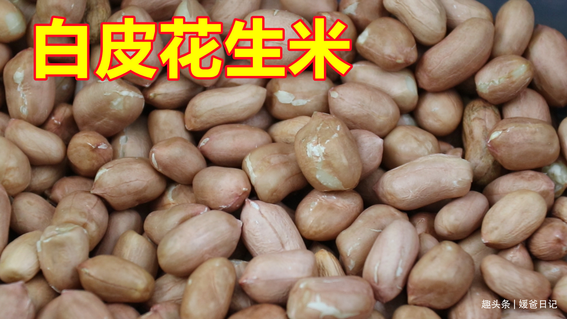 红皮花生米和白皮花生米,哪一个更有营养好多人不懂,长见识了