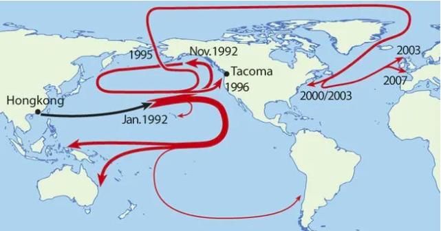 在海上漂流15年的2万多只小黄鸭，能给我们带来什么海洋知识？