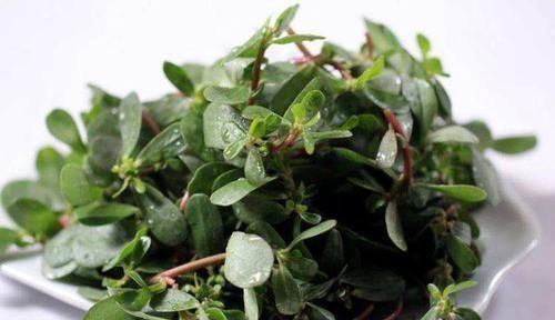 改善睡眠|中年女人身體差,常吃的食物,改善睡眠,顏色紅潤(rùn),遠(yuǎn)離婦科炎癥