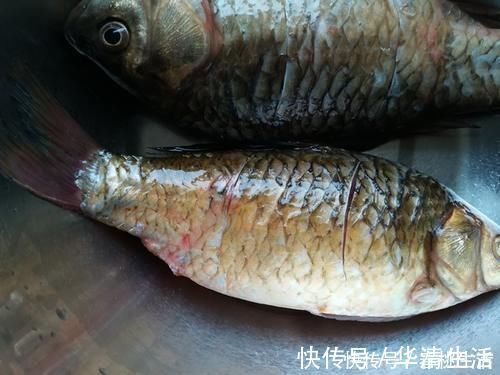 好坏|建议中老年人：不管家庭条件好坏，隔三差五吃这道菜，常吃腿脚硬朗，低脂高钙，牙口好