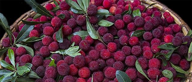 成熟|农村才有的奇特美味野果,吃过十种以上算你牛,城里人见得少