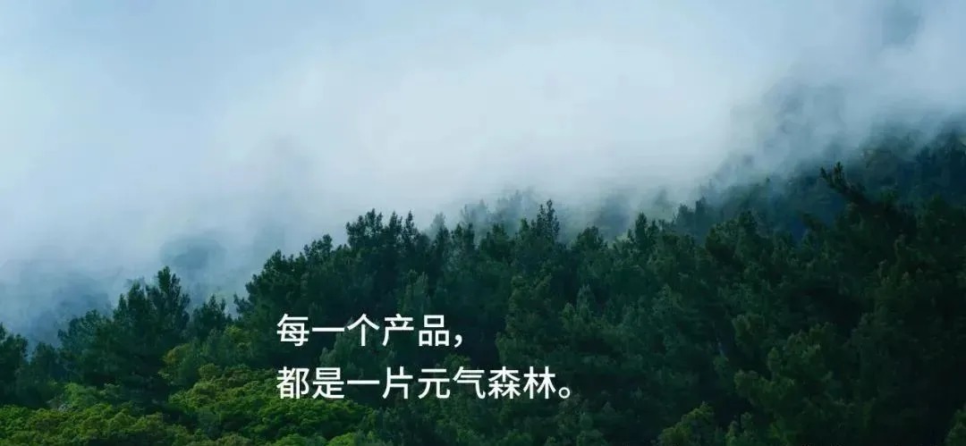 森林|唐彬森“种树”，元气的森林能否成形？