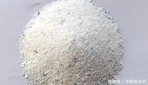 厉害!洗衣粉才是最好的养花帮手,怎么不早点告诉我