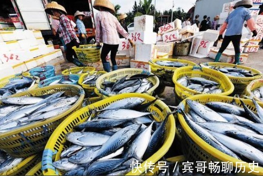 爱吃鱼,认准4种买,目前无法人工养殖,营养高味道鲜,还便宜