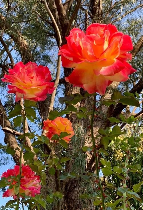 老年|喧嚣过后，一切归于平静