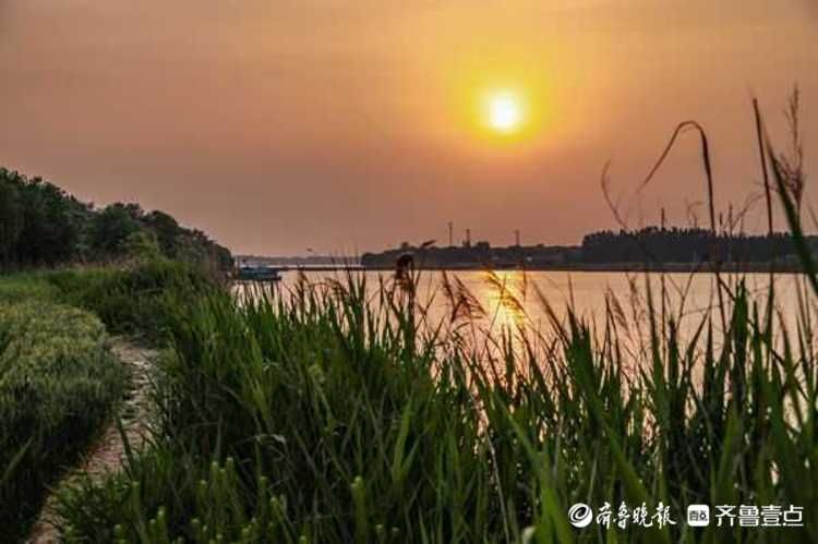 这里的落日真美！济南黄河夕阳西下绚彩多姿，红霞飞满天|情报站| 济南