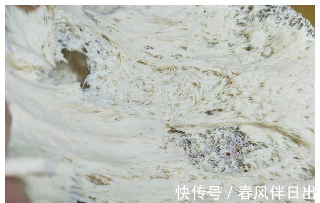 天冷|天冷发面时,4个要点要记牢,面团很快发满盆,蒸馒头暄软好吃