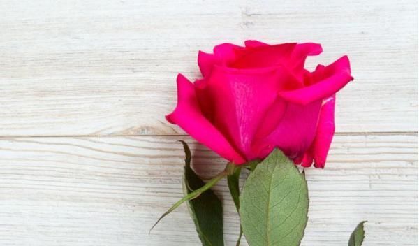 闲话|俗话说:病从口入祸从口出,尤其是这4句话,说了祸事不断!