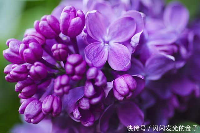 菌群|便秘很苦恼,专家四类食物停止使用,润肠通便很简单