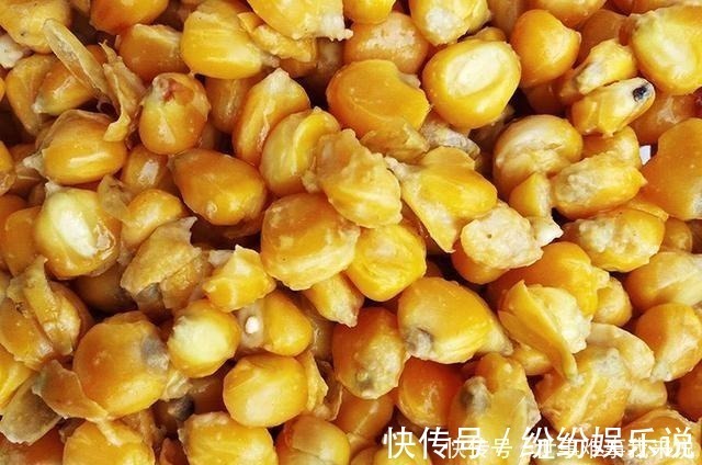 山楂片|好用的鱼饵不仅是蚯蚓,这几种常见物料做饵料,效果不比它差