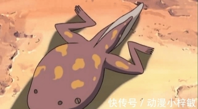 火影|火影:还记得鸣人首次通灵的蝌蚪吗?并不是为了搞笑,看到花纹不淡定了!