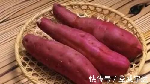 红薯|晚上吃红薯能减肥！可为什么有些人吃红薯没瘦反而胖了？原因有三