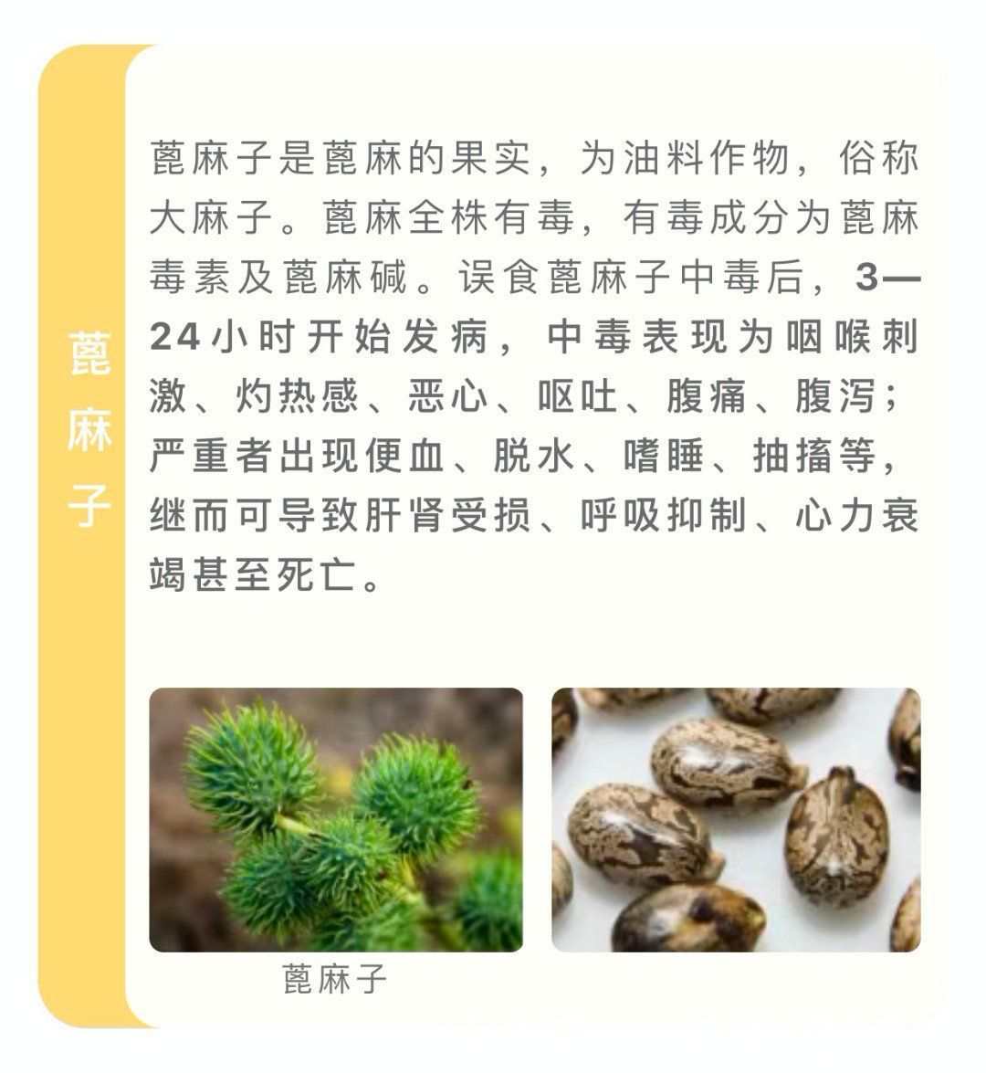 野菜|四川人注意！夏季这些常见的植物有毒