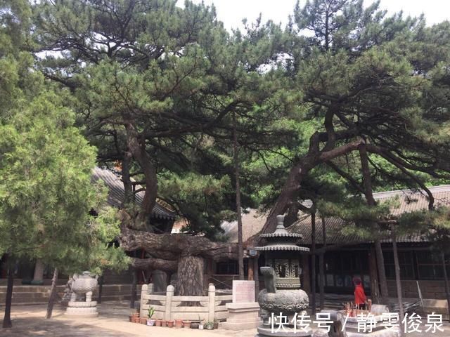 大佛|首批国家重点风景名胜区，东北祈福第一山，是公认的中国天然氧吧