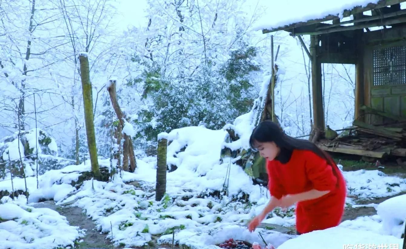 雪地|李子柒雪地穿红衣仙气十足,炖酱大骨太惊艳,“天然冰箱”成亮点:太羡慕了