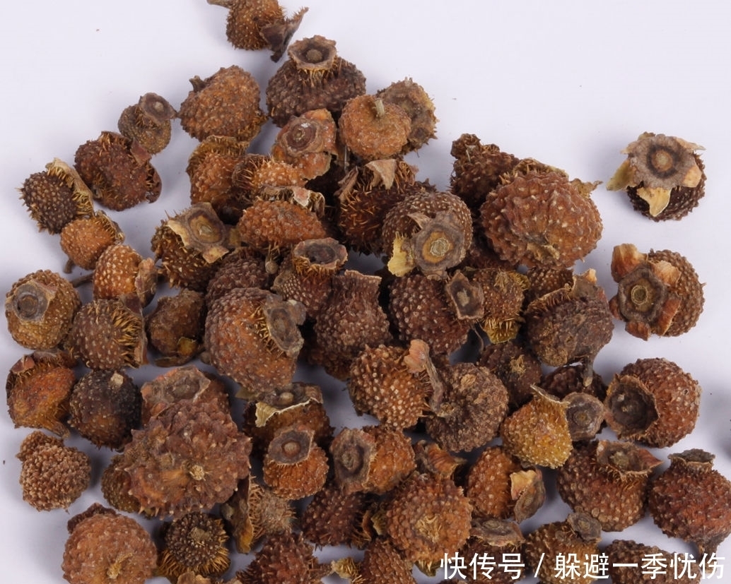 维生素c|金黄色的野果，称它维生素C之王，农民靠它致富，每亩收入两万