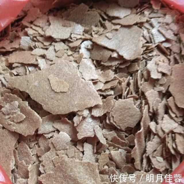 花盆|养花有必要加“底肥”吗老花匠教你这样做,植物根系又粗又壮