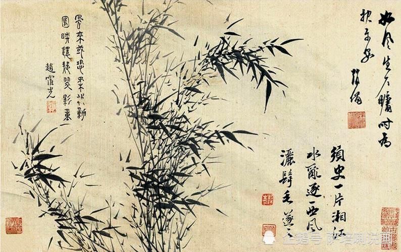  象征着|用花表达情感、寄托愿望，花中四君子的花语