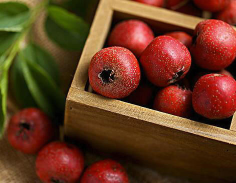 咽喉肿痛|夏天“第一花”，消暑全靠它，全家老少都能喝