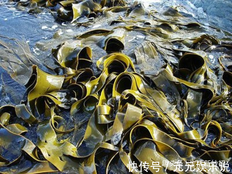 你家还在买海带吃吗多亏干货店老板提醒，快点叮嘱家人，很重要