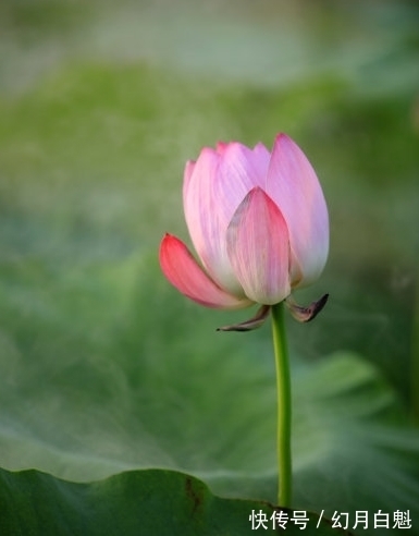 财源|10月中旬，鸿运当头，4属相时来运转，财源滚滚，日子越过越富贵