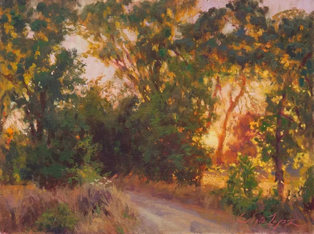 塞尔吉奥@两次入选年度沙龙的决赛,他的画到底美在哪里?