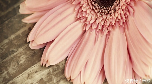 除冰箱异味的五法宝！除冰箱异味的五法宝！