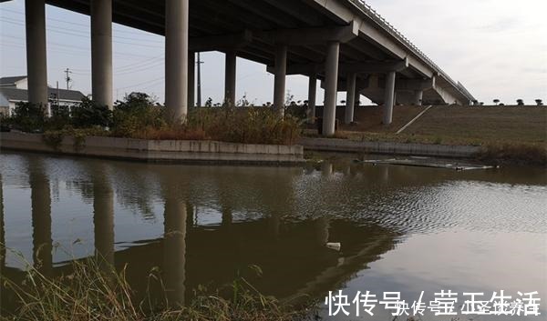 冬季钓鱼,用这种钓法,把饵料递到鱼嘴边,帮你快速“撬开“鱼嘴