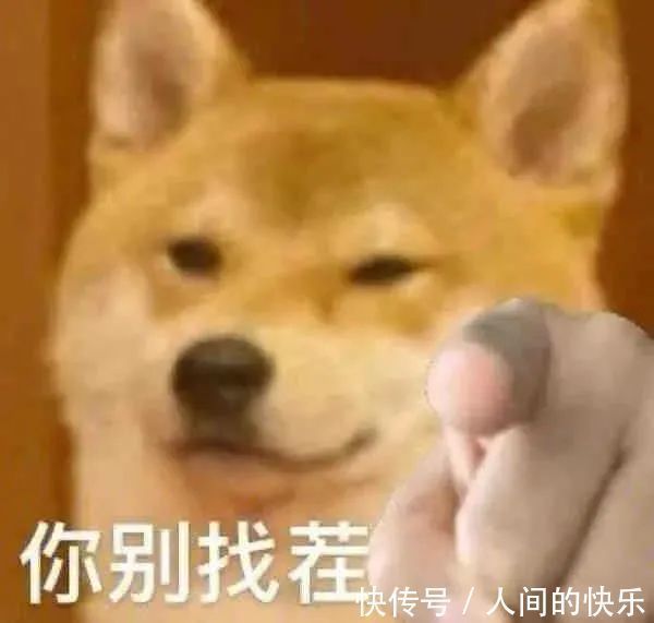 |搞笑沙雕表情包:斗图没有这些 缺少一半的乐趣