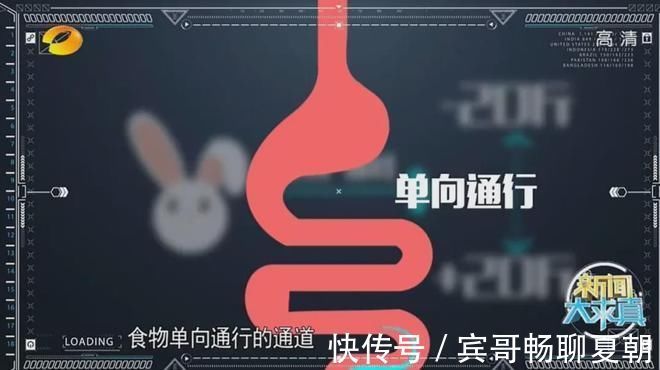 russell|把50cm管子塞进胃里的女孩,别再作践自己