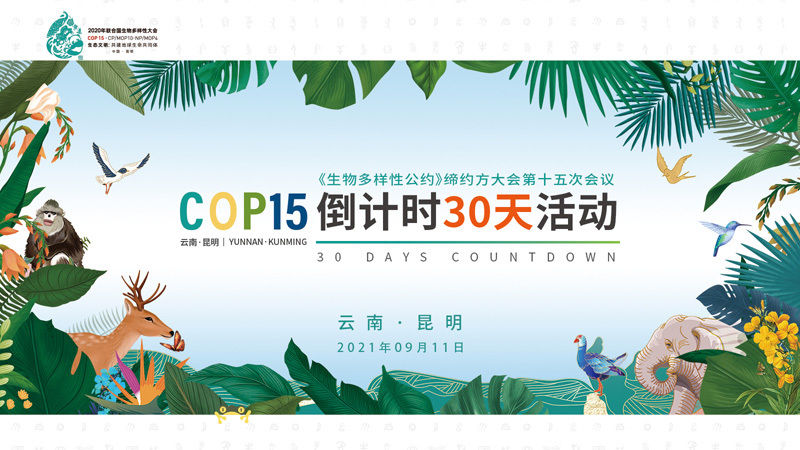 昆明|COP15倒计时30天活动在昆举行 这些亮点不容错过