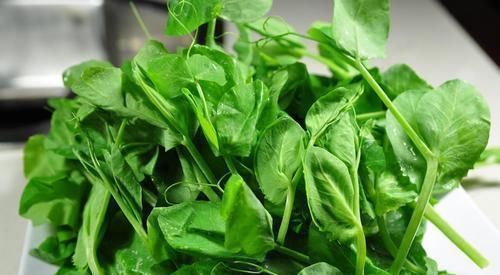 豆腐汤|真正的“补钙汤”就是它,隔三差五吃,补钙质,长个头,孩子要多吃