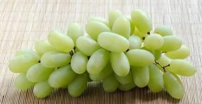 想長壽全靠吃，三種食物離不開，呵護肌膚，淡斑養(yǎng)顏，從臉嫩到腳