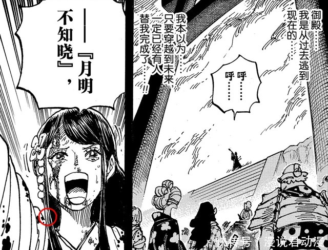 海贼王1004:页尾再现阴影王,网友脑洞大开,艾尼路榜上有名