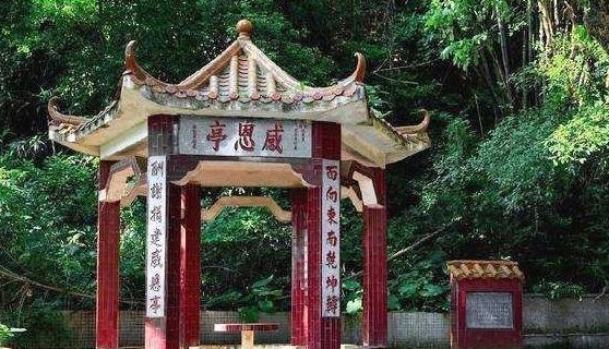 到底|司马光砸缸的故事谁都知道,那么他救的人是谁,为何老师从不说