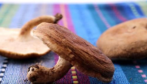 藻胶|女人长乳腺结节的原因被发现了，记住两吃，两不吃，结节悄悄没了