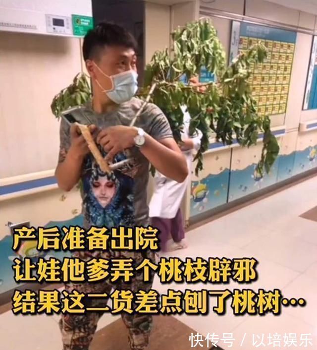 宝爸|“耿直爸爸”接娃出院走红,宝妈折桃枝避邪,差点把整棵树搬来