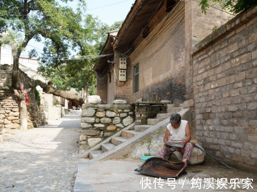 后院|6旬农民大妈家长出1棵野人参,枝繁叶茂万元不卖,看看啥样