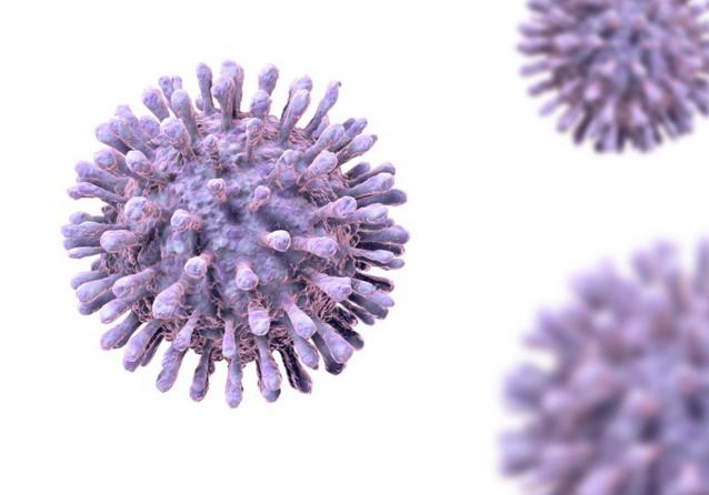 免疫力|HPV高危阳性怎么增强免疫力