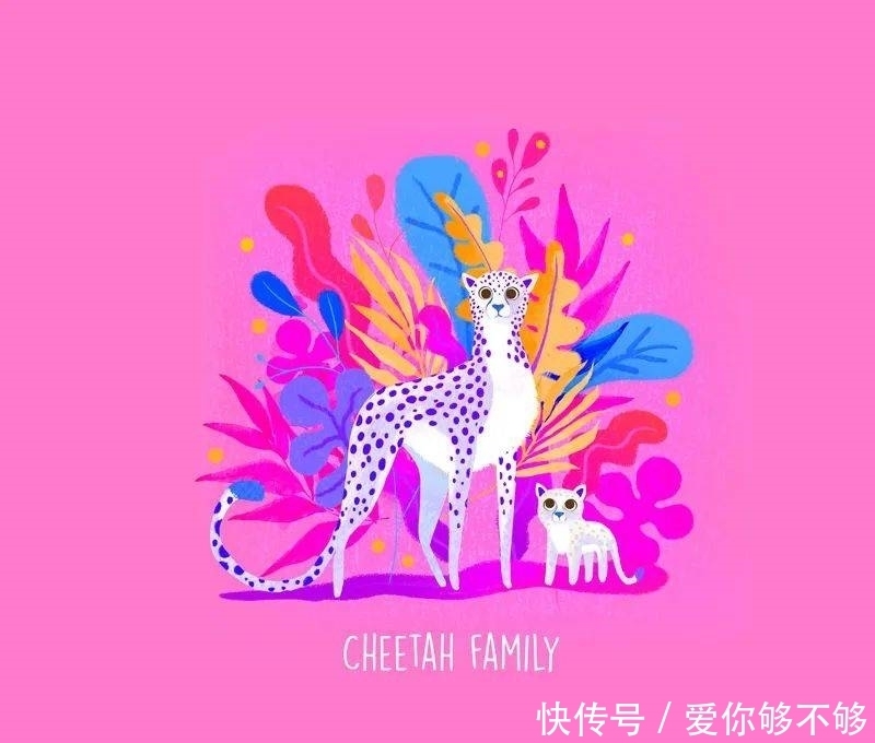 插画|三组各具特色的动物插画,看完很治愈~