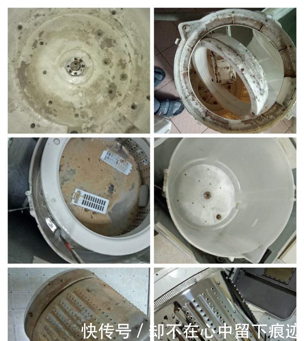 细菌|许多人都不知道的秘密!你的洗衣机半年不清洗,里面都是细菌