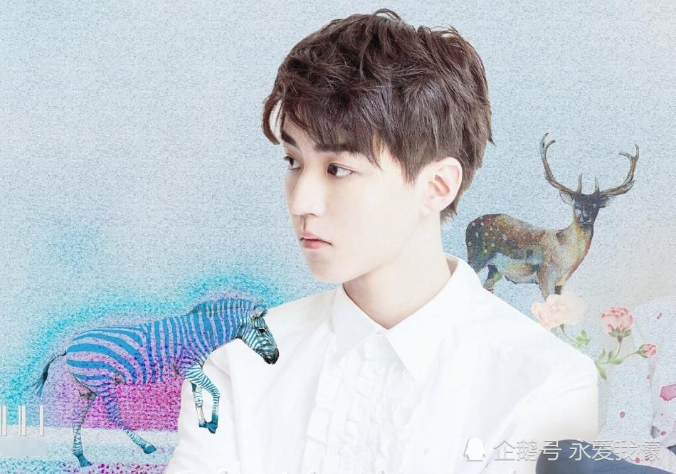 陈情令 明星人气排行榜,黄子韬排第6,王一博排第2,第1名让人意外