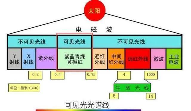 量子力学 再揭量子真相薛定谔的猫，到底在说什么