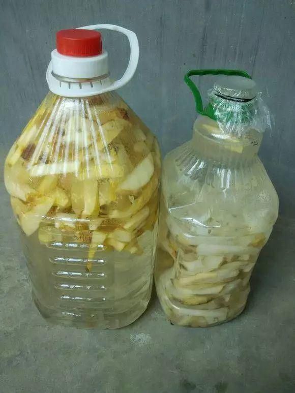 发糕|养花的土太结实？1个小窍门，土壤松软如发糕，透气不烂根！