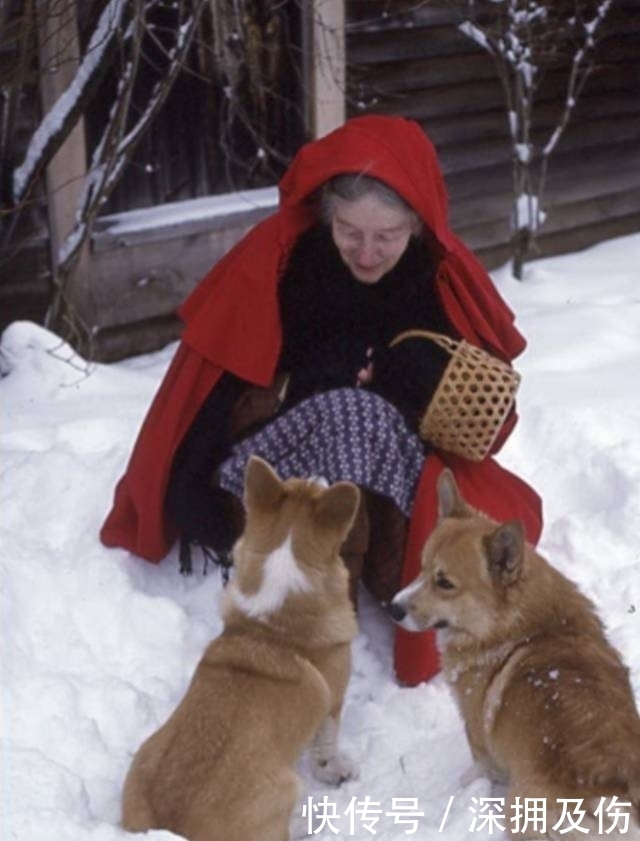 山间|她15岁退学,被丈夫抛弃后隐居山间,却活成了仙女!